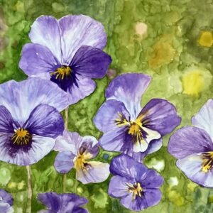 "Purple Pansies"