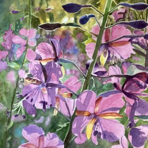 "Fireweed" Image size 16"X20"