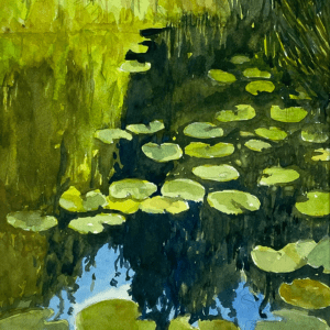 " Peche Island Lilly's"